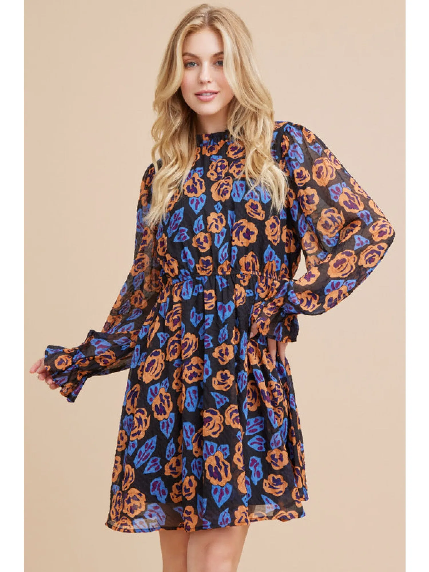 Poet Sleeve Dress